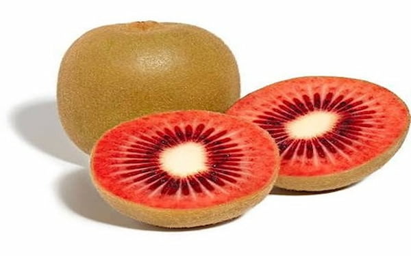 تصویر 5 از راهنمای خرید کیوی تو سرخ خشک + قیمت عالی